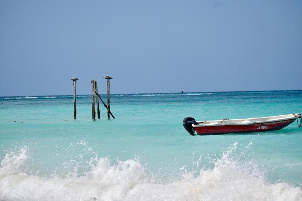 Palmhouse Apartments Aruba 1- 4 Persons Savaneta Exterior foto