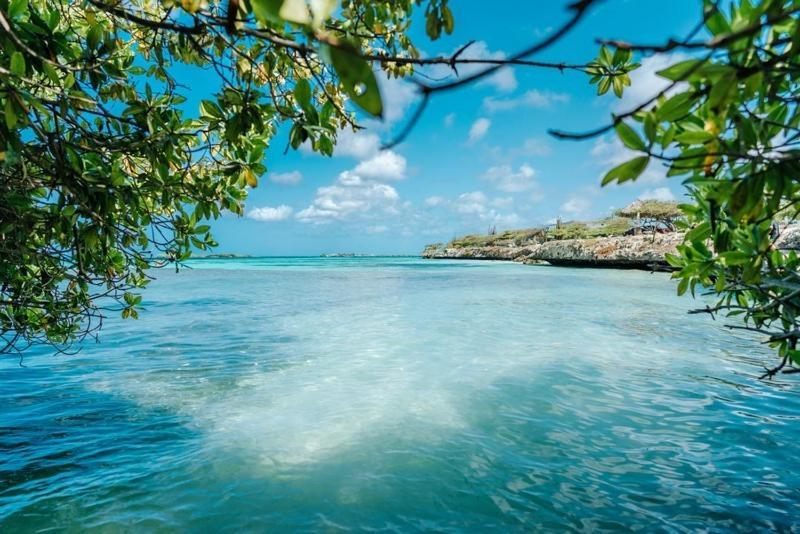 Palmhouse Apartments Aruba 1- 4 Persons Savaneta Exterior foto